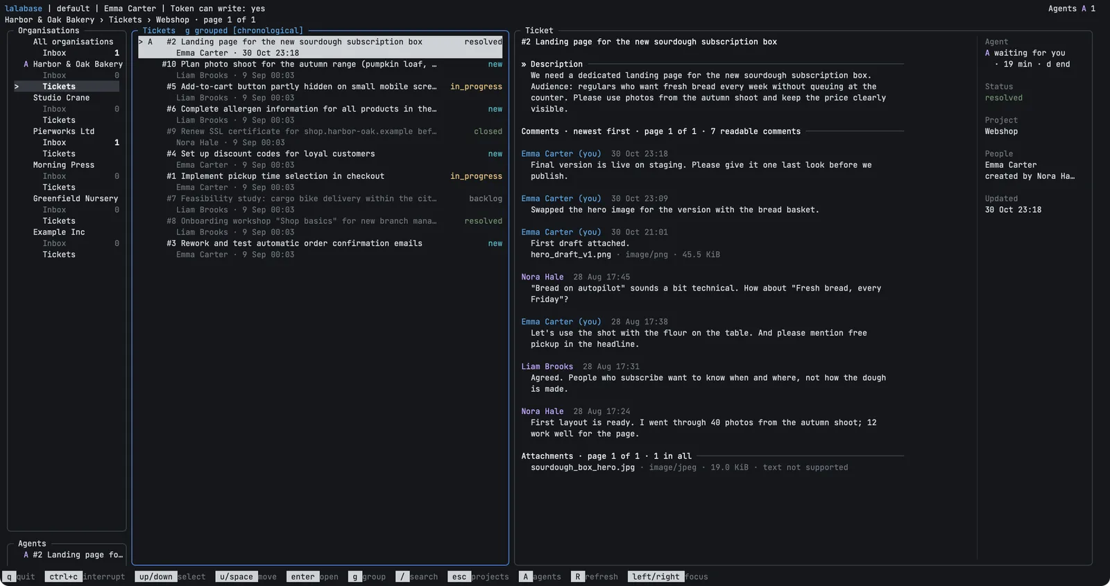 The terminal tool in three panes with invented data: organisations with unread counts and the running agents on the left, a project's tickets in the middle, the open ticket with its description, comments and attachments on the right.